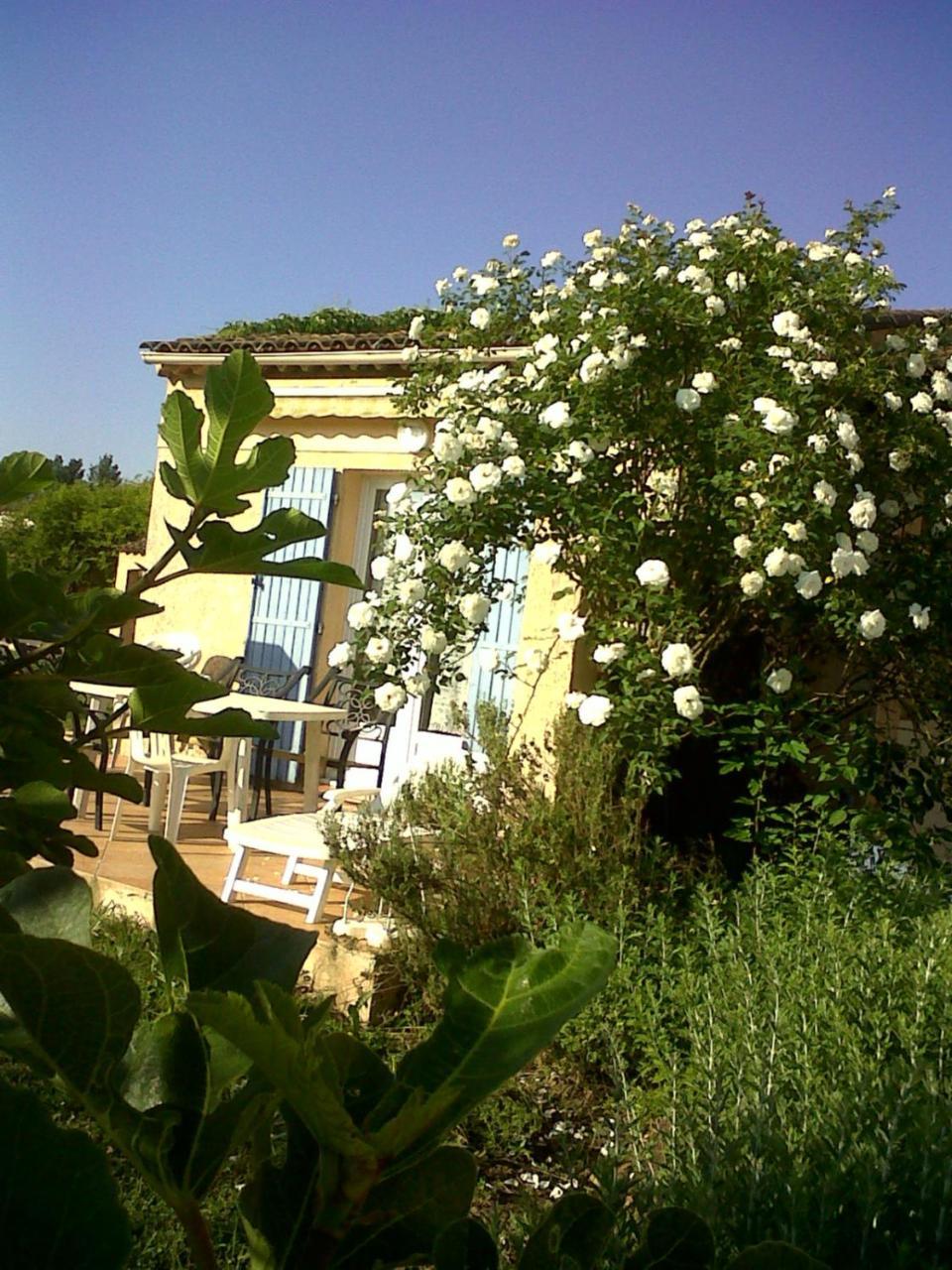 Domaine De La Begude Otel Fayence Dış mekan fotoğraf